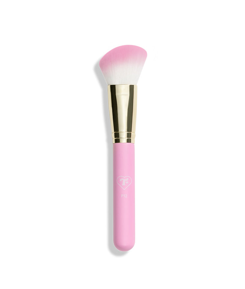 13 Piece Pink Brush Set